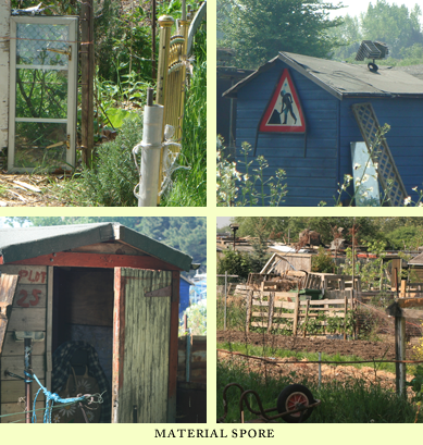 Kingston Road Allotments